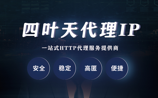 【襄阳代理IP】代理ip客户端使用教程