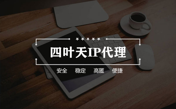 【襄阳代理IP】如何快速搭建代理IP？怎么检查代理的效果？